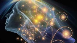 Neuropsychologue, Biorésonance et Neurofeedback à Ferney-Voltaire, Pays de Gex 4 biorésonance biofeedback neurofeedback Ferney-Voltaire Pays de Gex Genève