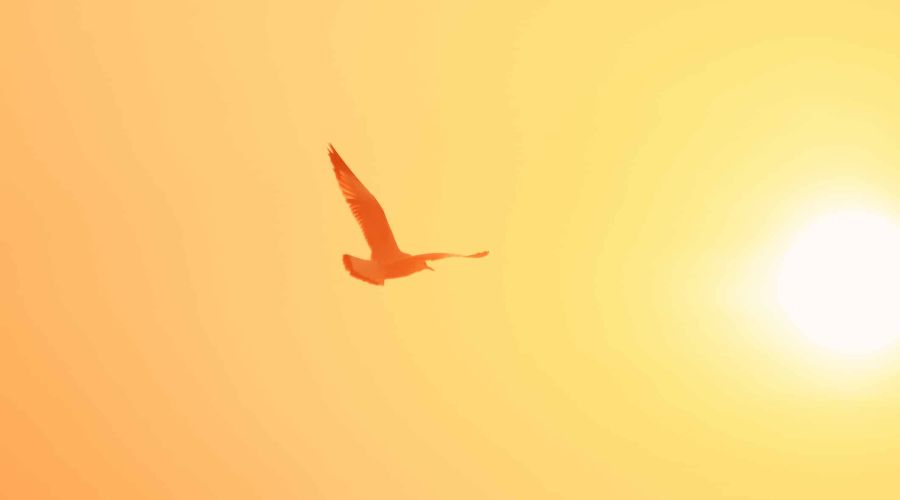 Psychologue, Sexologue, Thérapie Comportementale, de Couple, Ferney-Voltaire, Pays de Gex 20 coach, coaching de vie, personnel, professionnel, carrière, burn out, harcèlement, licenciement, reconversion, gestion de crise, Ferney-Voltaire, Pays de Gex